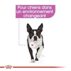Relax Care Mousse 12 X 85 G - Royal Canin -Fournitures Pour Animaux relax care mousse 12 x 85 g royal canin 4