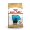Rottweiler Junior - Royal Canin -Fournitures Pour Animaux rottweiler junior royal canin