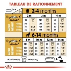 Rottweiler Junior - Royal Canin -Fournitures Pour Animaux rottweiler junior royal canin 3