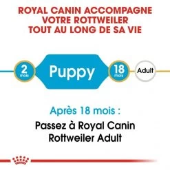 Rottweiler Junior - Royal Canin -Fournitures Pour Animaux rottweiler junior royal canin 4