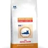 Senior Consult Stage 2 High Calorie - Royal Canin Veterinary Care Nutrition 2 Senior Consult Stage 2 High Calorie - Royal Canin Veterinary Care Nutrition -Fournitures Pour Animaux senior consult stage 2 high calorie royal canin veterinary care nutrition