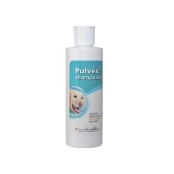 Shampoing Pulvex 200 Ml - MSD