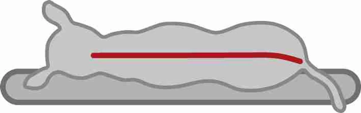 Sofa à Mémoire De Forme "Vital Bendson" - Trixie 4 Sofa à Mémoire De Forme "Vital Bendson" - Trixie – Image 2