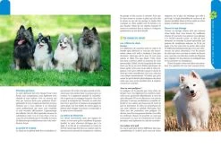 Spitz Allemand - Artemis Edition -Fournitures Pour Animaux spitz allemand artemis edition 2