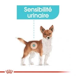 Urinary Care Mousse 12 X 85 G - Royal Canin -Fournitures Pour Animaux urinary care mousse 12 x 85 g royal canin 4
